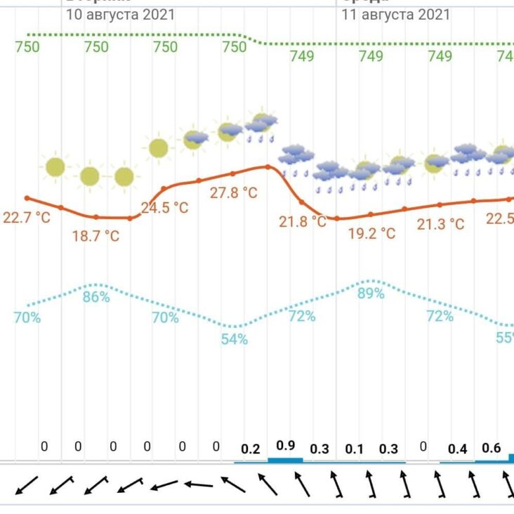 Погода 10 августа: облачно с прояснениями, местами кратковременный дождь, гроза и до +28 градусов
