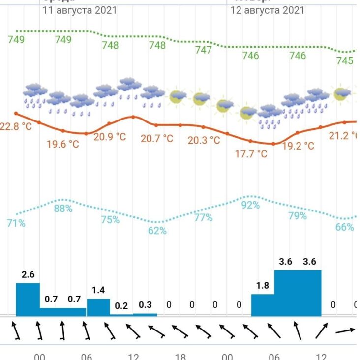 Погода 11 августа: облачно, небольшой дождь и до +26 градусов