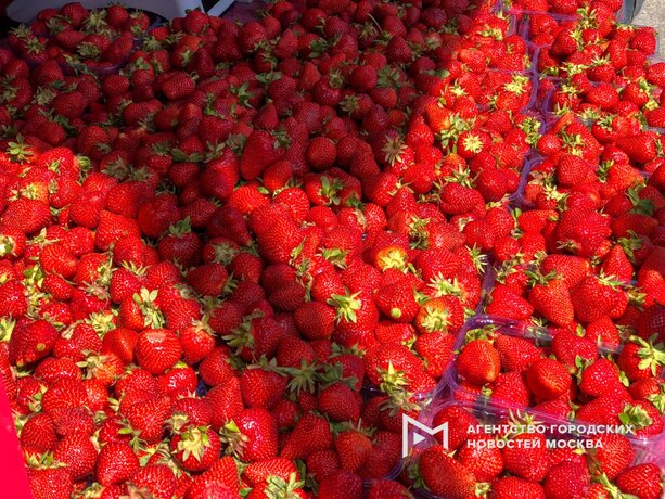 В Москве открылись почти 300 точек торговли клубникой