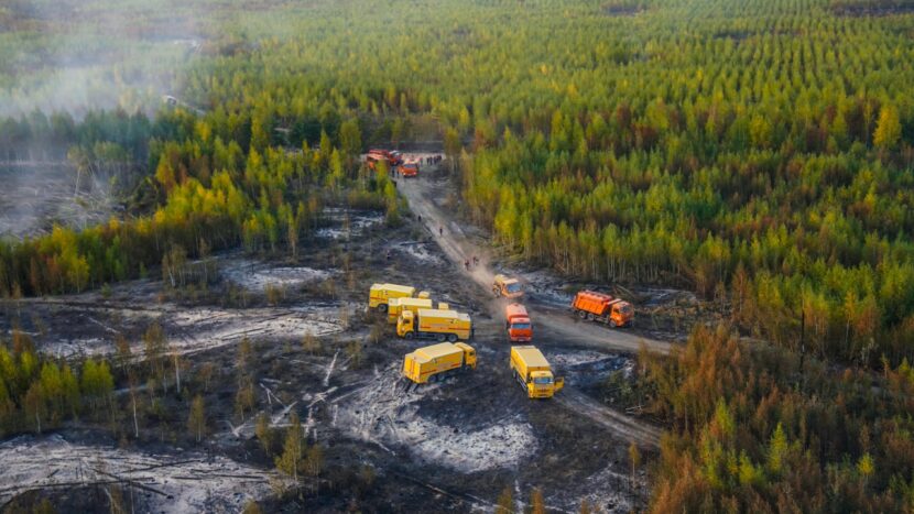Почти во всех поселениях в районе пожаров в Рязанской области работают специалисты из Москвы