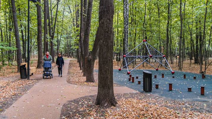 В Москве завершили проект реабилитации Щукинского парка