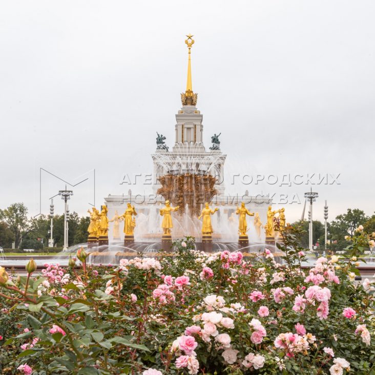 В Москве пройдет конкурс по развитию ВДНХ "Золотой колос"