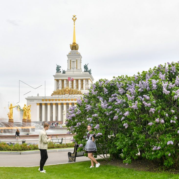 Москвичам рассказали о летней программе ВДНХ