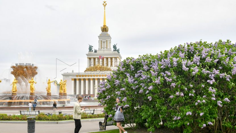 Москвичам рассказали о летней программе ВДНХ