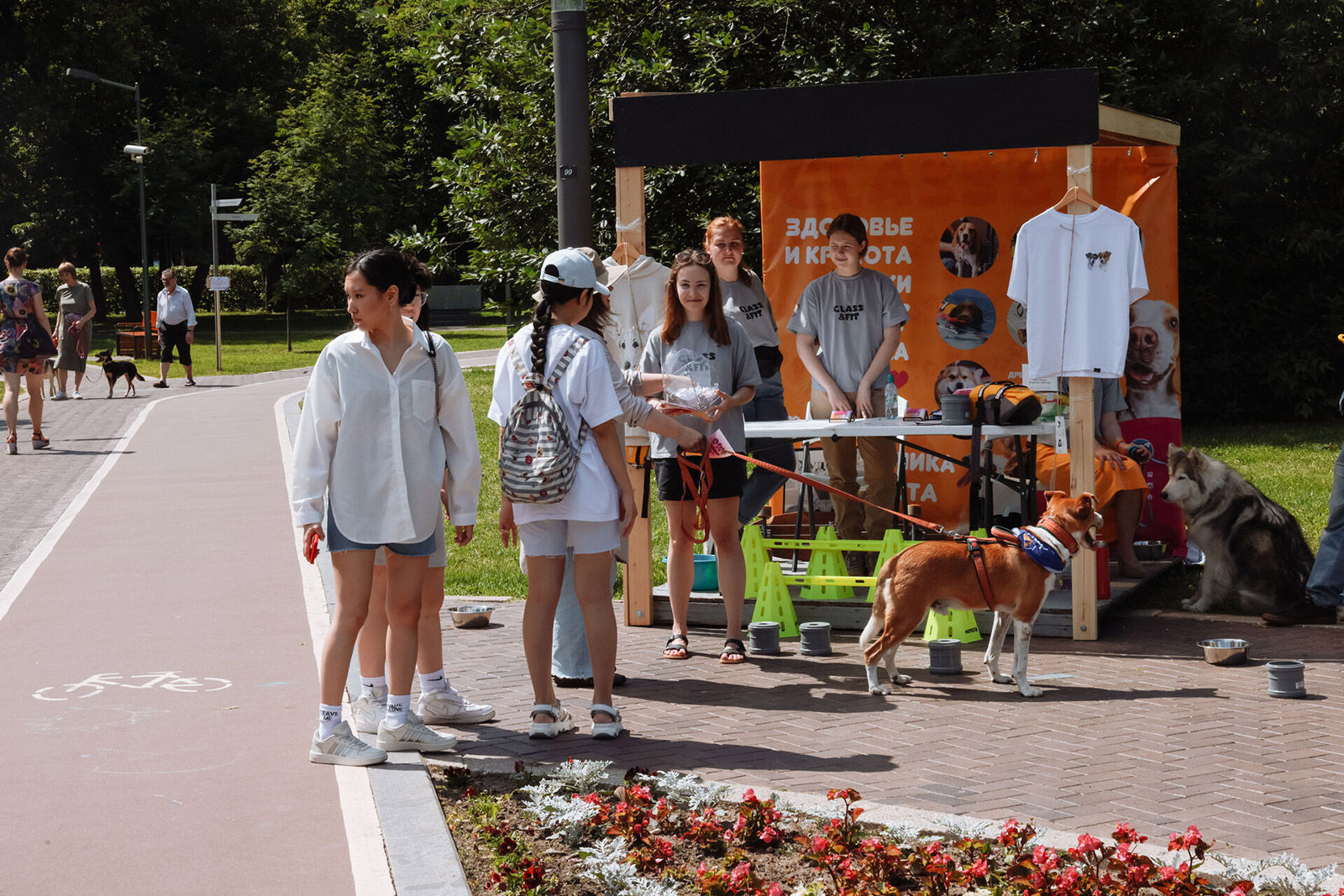 Компания план б москва