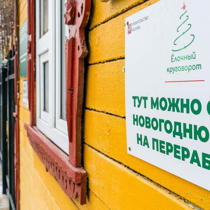 Участники проекта "Город заданий" отправили на переработку более 6 тысяч новогодних елок