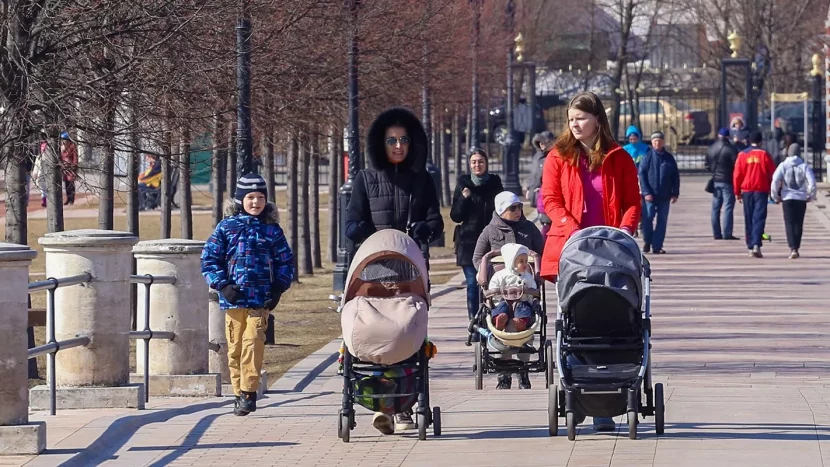 Цифровое удостоверение многодетной семьи можно оформить в Москве