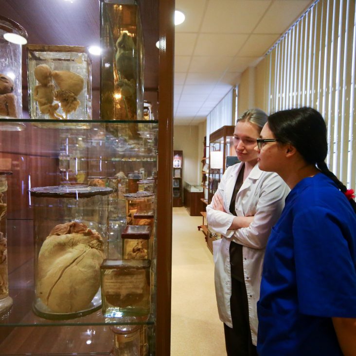 Патологоанатомический музей на базе Склифа могут открыть для всех желающих