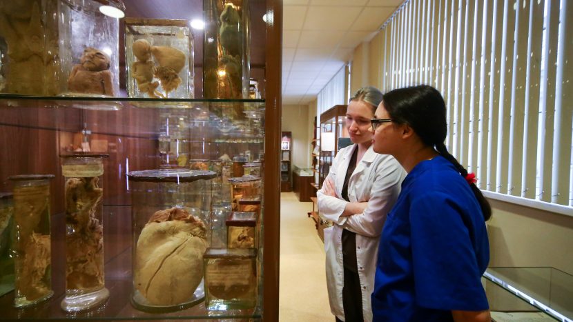 Патологоанатомический музей на базе Склифа могут открыть для всех желающих
