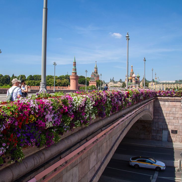 Для фестиваля "Лето в Москве" в столицу привезли свыше 500 тыс. растений