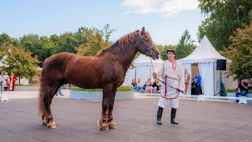 Лучших лошадей России покажут на фестивале в парке "Кузьминки"