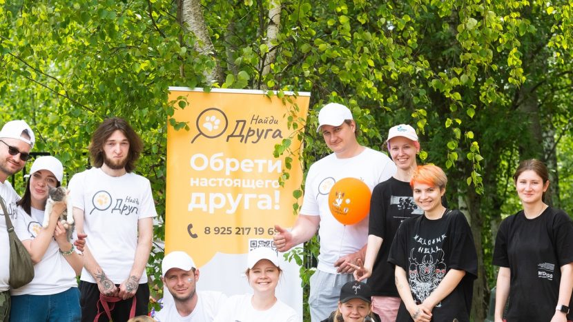 Выставка русских черных терьеров пройдет в "Сколково"
