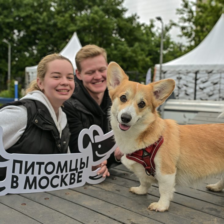 Кинопоказы и спектакли вошли в топ-5 мероприятий проекта "Лето в Москве"