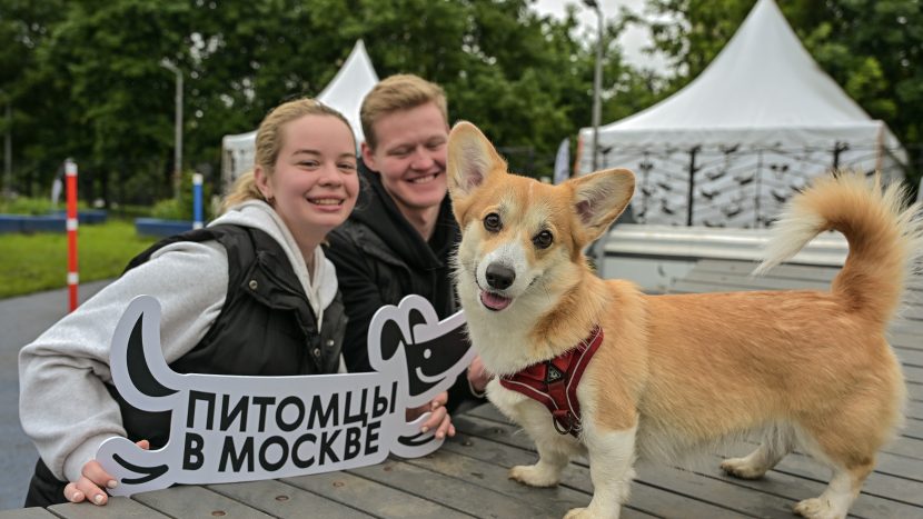 Кинопоказы и спектакли вошли в топ-5 мероприятий проекта "Лето в Москве"