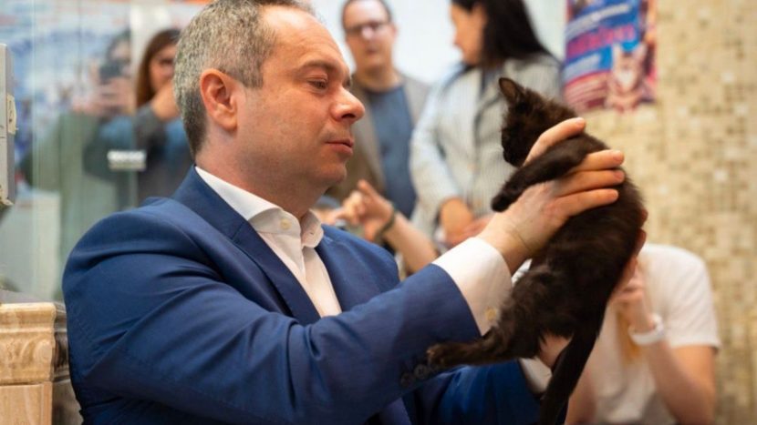 Театр кошек Куклачева принял трех котов из зоны СВО