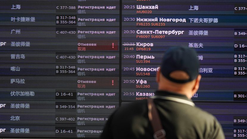 "Аэрофлот" открыл отдельную стойку регистрации для пассажиров с животными