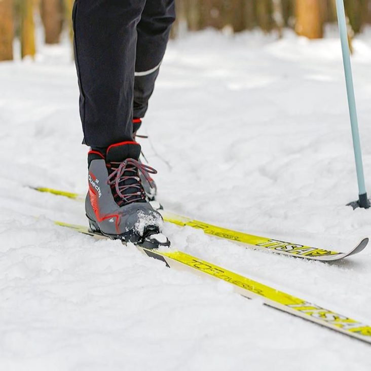 Лыжную трассу в парке 850-летия Москвы обновят в этом году