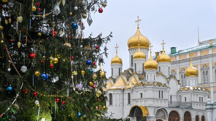 Главную елку страны привезут в Кремль 10 декабря