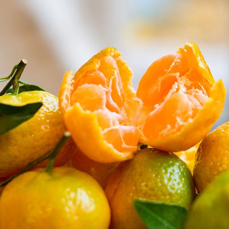 Акция "Подвешенный мандарин" вновь пройдет на столичных ярмарках