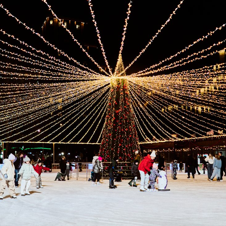 Катки в московских парках начали принимать первых посетителей