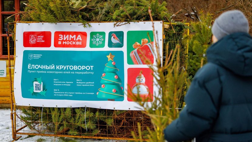 Пункты приема елок откроются в январе 2026 года