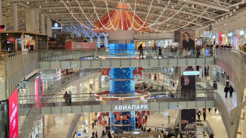 "Авиапарк" убрал защитные сетки от птиц после обвинений в живодерстве