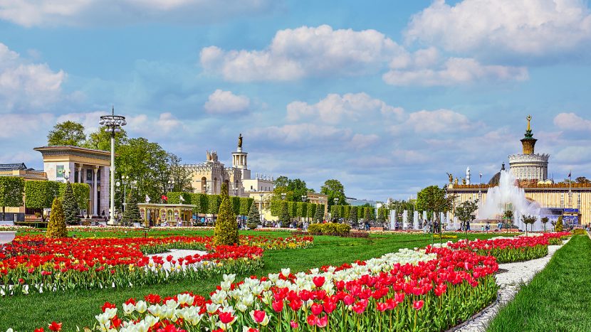 Цветы начали высаживать в столичных парках к началу весеннего сезона