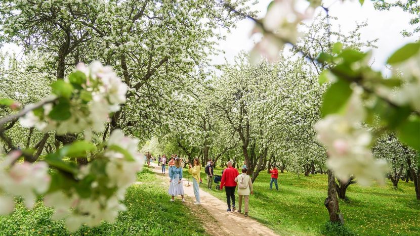 Онлайн-конкурс туристических маршрутов пройдет в Москве
