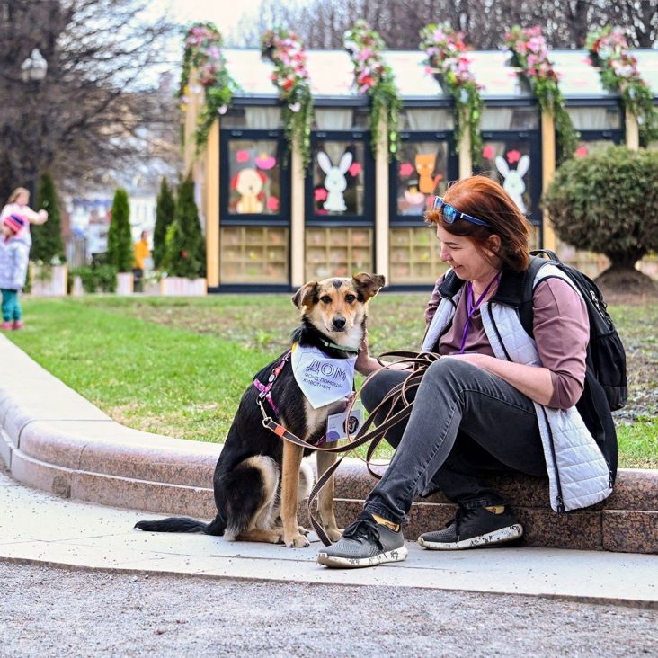 Москвичи познакомятся с животными из приютов на празднике "Моспитомец” х Четвероногий друг"