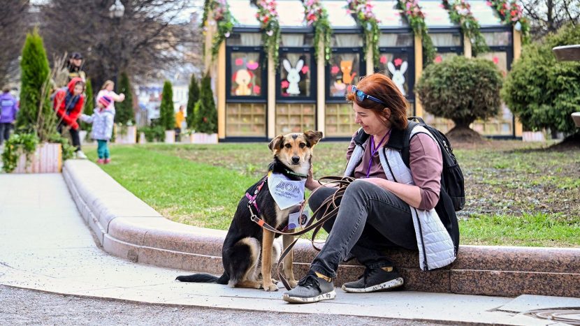 Москвичи познакомятся с животными из приютов на празднике "Моспитомец” х Четвероногий друг"