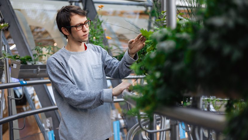 Самая красивая оранжерея Москвы: в проекте "Активный гражданин" началось новое голосование