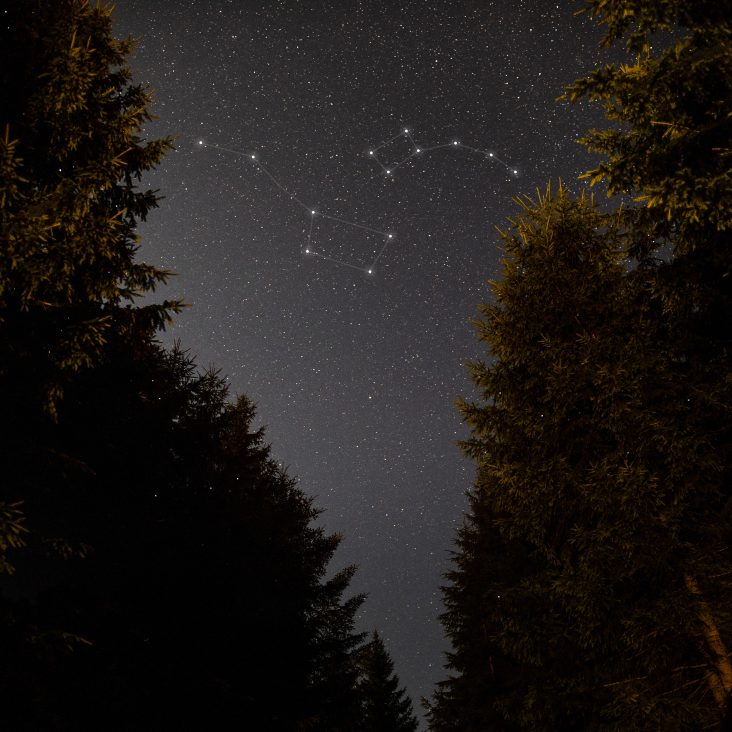 Москвичам рассказали, как ориентироваться по звездам в центре города