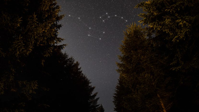 Москвичам рассказали, как ориентироваться по звездам в центре города