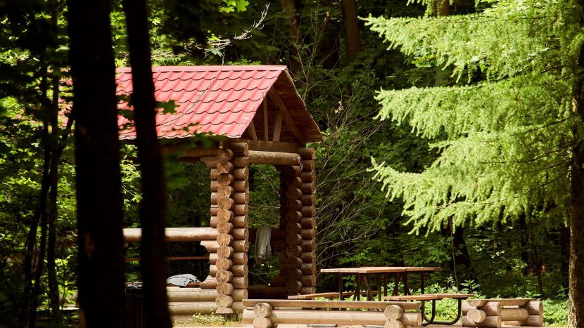 Онлайн-бронирование зон для пикника в парках столицы открылось в "Мосбилете"