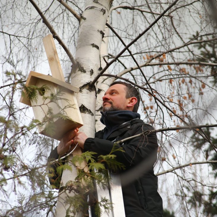 Москвичей призвали не подкармливать птиц на природных территориях