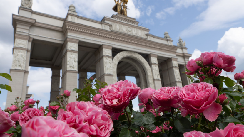 От первоцветов до нежных роз: какими растениями можно будет полюбоваться на ВДНХ в этом году