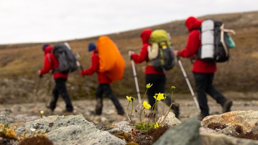 Очный отбор в в Большую арктическую экспедицию начался в Москве