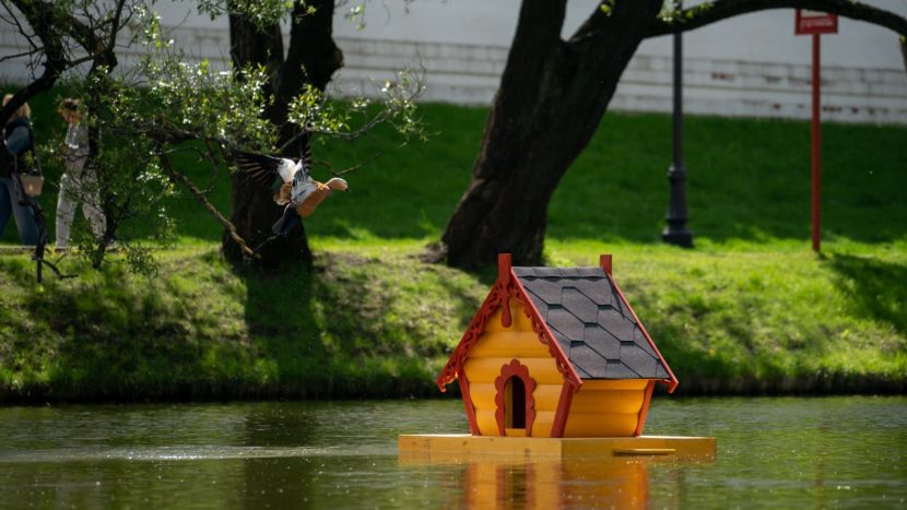 Более 200 домиков для уток установят на столичных водоемах в преддверии летнего сезона