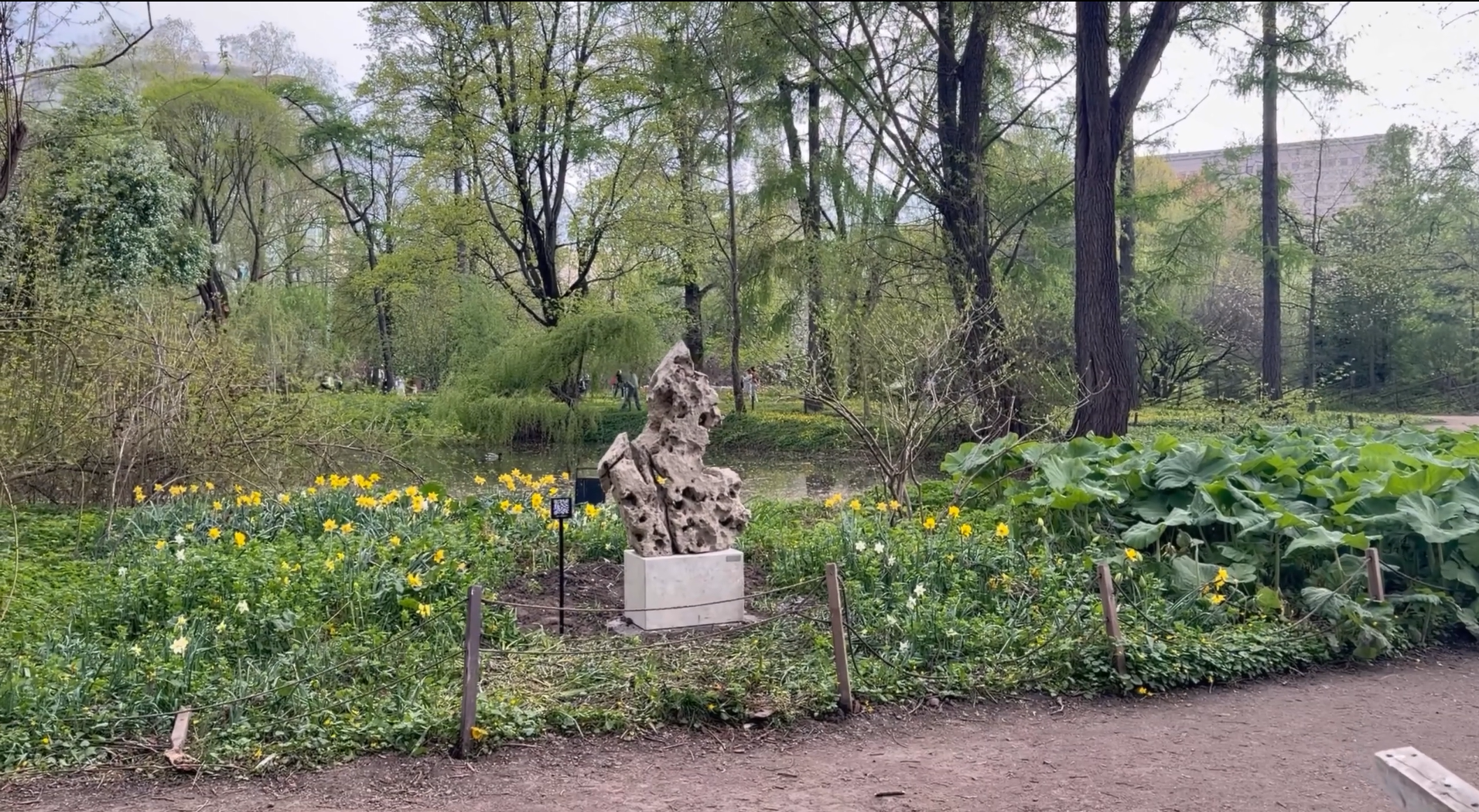 Выставка каменных скульптур открылась в "Аптекарском огороде"
